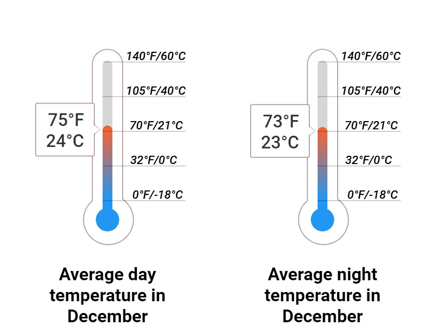 What to do in December in the Bahamas 2024 Winter Sun Expert
